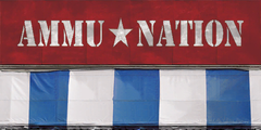 미사용 텍스처 "db_ammunation".