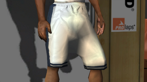 Clothing-GTASA-ProLaps-Legs-BallShorts.png
