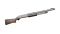 2026년 5월 8일 (금) 02:38 판의 섬네일