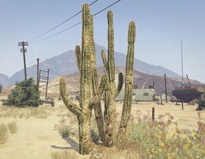 Cactus-GTAV.jpg