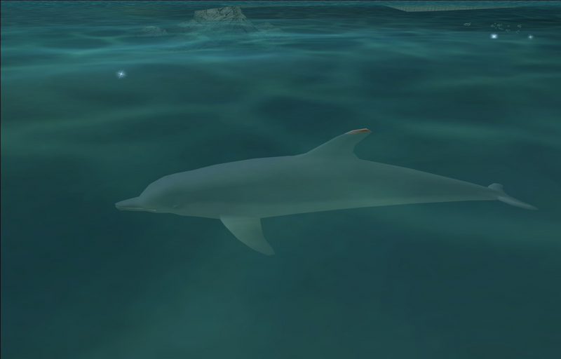 파일:Dolphin-GTAVC.png