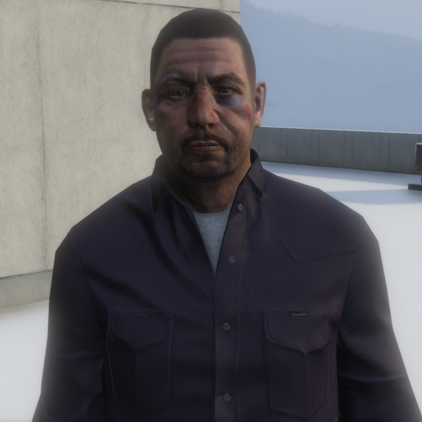 파일:BankRobbers-GTAOe-Robber3-Portrait.png
