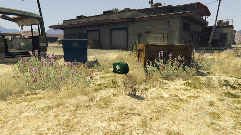 파일:MethLabSurvival-GTAO-HealthPack1.png