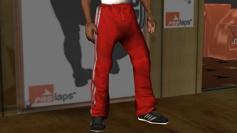 파일:Clothing-GTASA-ProLaps-Legs-TrackPants.png