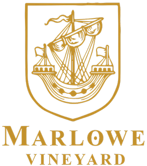 MarloweVineyard-GTAV-Logo.png