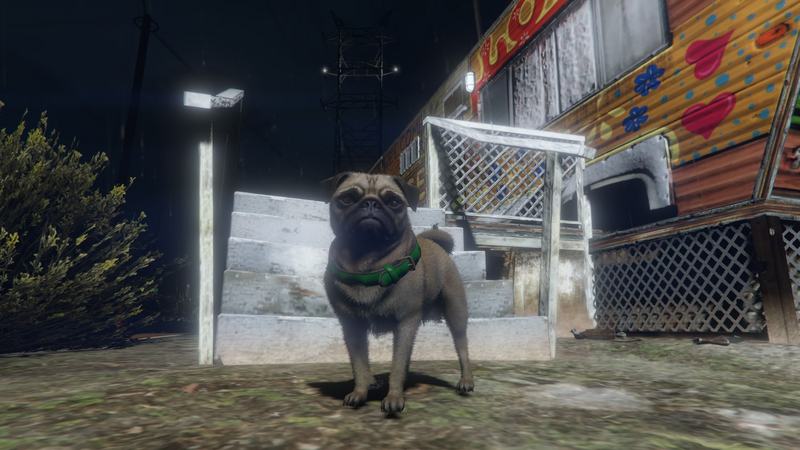 파일:Peyote Plants Animals GTAVe Pug.png