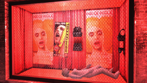 HeidiHole-MH2-DollandVHS.png