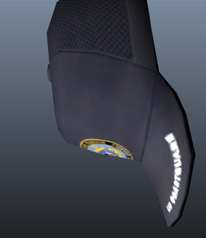 Uscghat.png