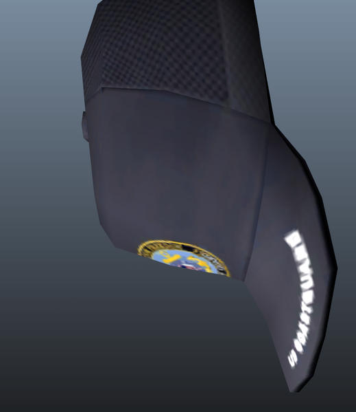 파일:Uscghat.png