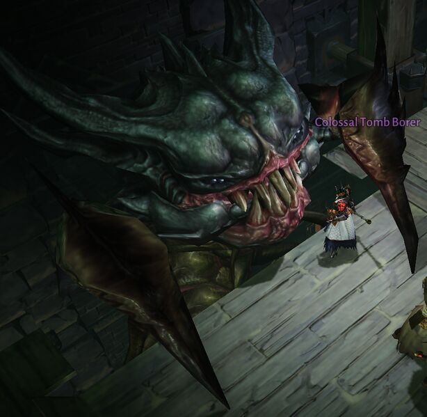 파일:Colossal Tomb Spider.jpg