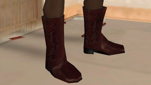 Clothing-GTASA-Binco-Shoes-CowboyBoots.png