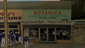 BotanicaCarlosMiguel-GTAVC-exterior.jpg