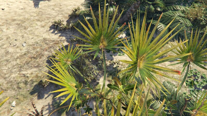 파일:SawPalmetto-GTAO-Small.jpg