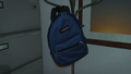 크레비스 백팩. (GTA V)