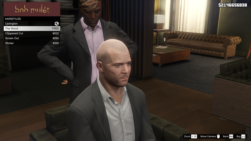 파일:HighEndBarbers-GTAV-MichaelHairstyles-TheWood.png