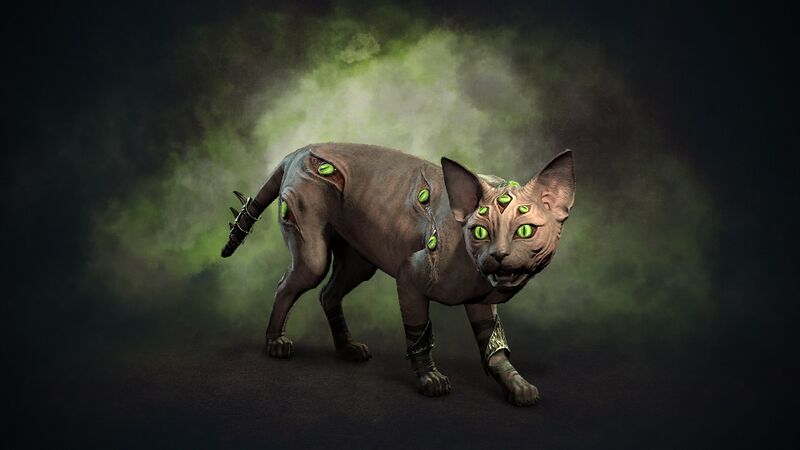 파일:Iris the Cat.jpg