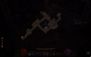 Black mushroom-5.jpg