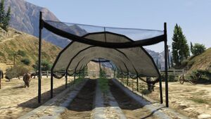 Braddockfarm-weed.jpg