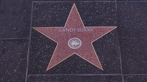 WalkofFame-GTAVee-CandySuxxx.jpg