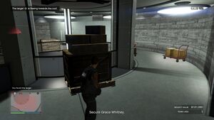 BailOfficeBounty-GTAOee-MostWanted-Whitney-SS16.jpg