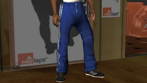 Clothing-GTASA-ProLaps-Legs-BluTrackPants.png