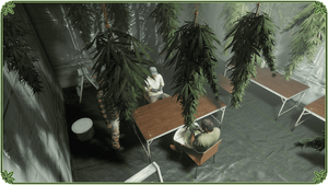 ShakeUpAndTopMarksWeek-GTAOe-WeedFarmBonuses.png