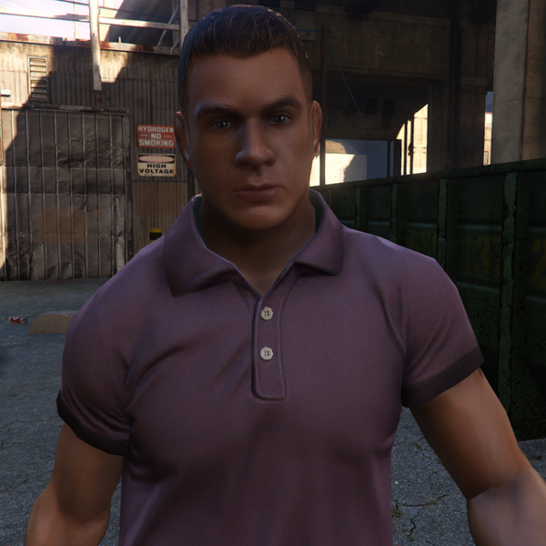 파일:BrokenDownStud-GTAV-Portrait.png