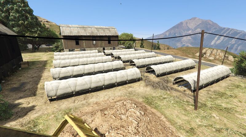 파일:CherryPieFarm-GTAV-Crops.jpg