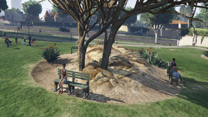 CottagePark-GTAV-Bench.png