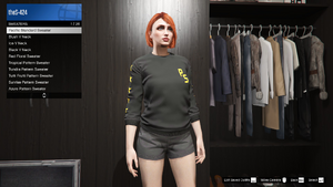 SpecialClothing-GTAOe-PacificStandardSweater.png