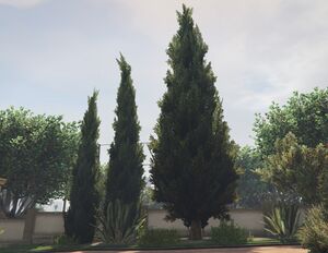 CypressTree-GTAV-SS1.jpg