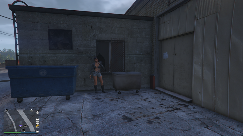 파일:StreetDealer-GTAOe-Location28-Chumash.png
