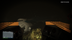 Wrecks-GTAV-CargoPlane-Wreck.png