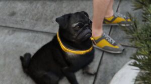 Dog-GTAV.jpg