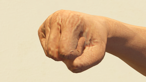 Fist-GTAOee-Male.png