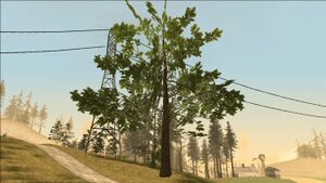 LoblollyPineTree-GTASA-SS1.jpg