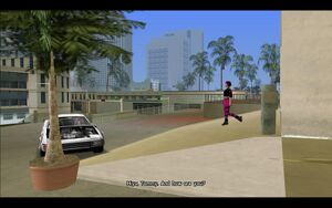 LoveJuice-GTAVC-SS24.jpg