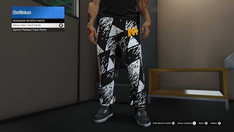 파일:SpecialClothing-GTAOee-ManorGeoTrackPants.jpg