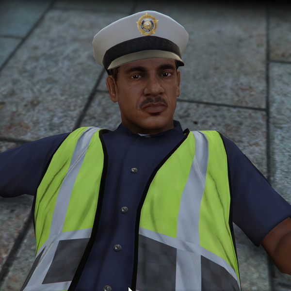 파일:AlbertStalley-GTAV-Portrait.png