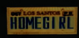 CustomLicense-GTASA-Homegirl.jpg