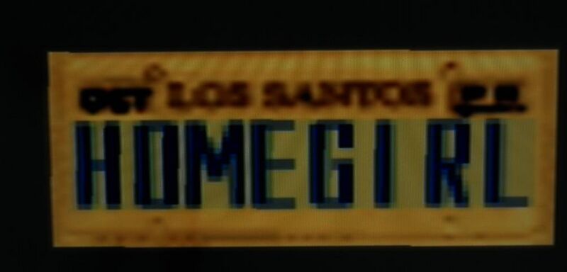 파일:CustomLicense-GTASA-Homegirl.jpg