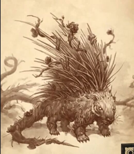 파일:Quillrat DIHB.jpg