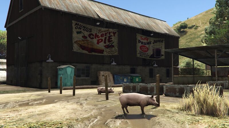 파일:CherryPieFarm-GTAV-BarnPig.jpg