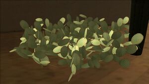 Cactus-GTASA-SS2.jpg