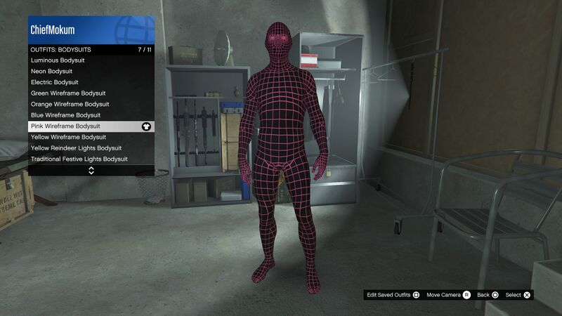 파일:SpecialClothing-GTAOee-PinkWireframeBodysuit.jpg