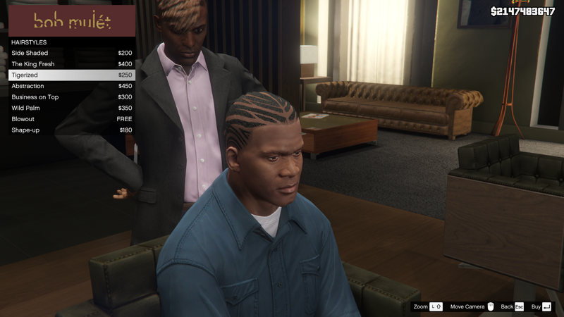 파일:HighEndBarbers-GTAV-FranklinHairstyles-Tigerized.png