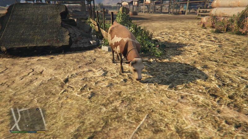 파일:GrapeseedCowFarm-GTAV-Cow.jpeg
