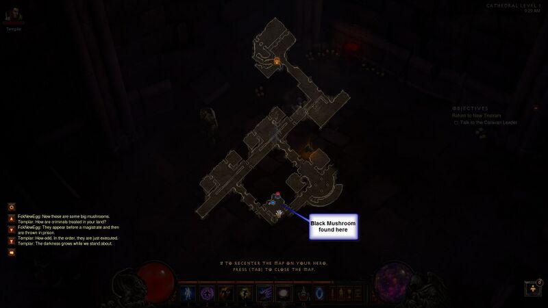 파일:Black mushroom item map.jpg