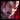 Darius