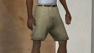 Clothing-GTASA-ZIP-Legs-BeigeShorts.png